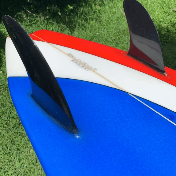 Bertlemann's Twin Fin Tail