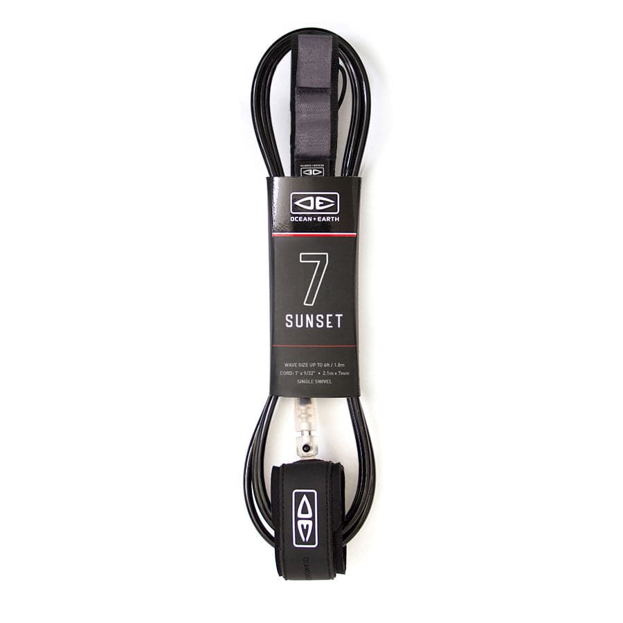 Black leash packaged