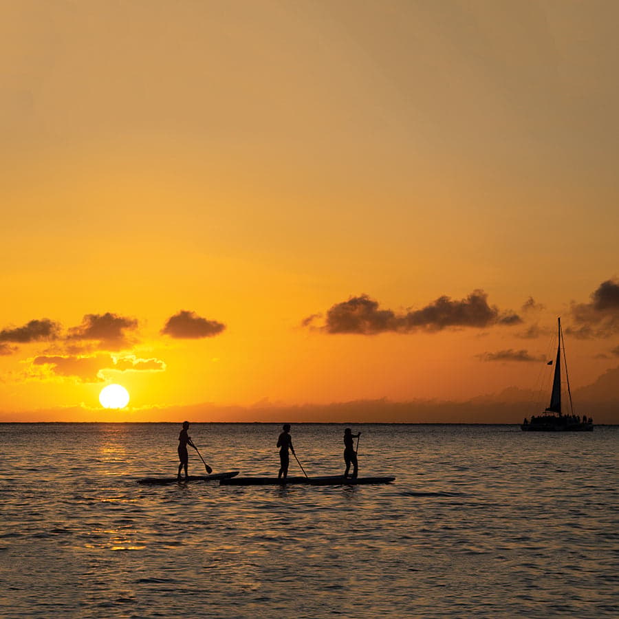 SUP Paddle | Kids Fibreglass Shaft SUP Paddle | Ocean and Earth