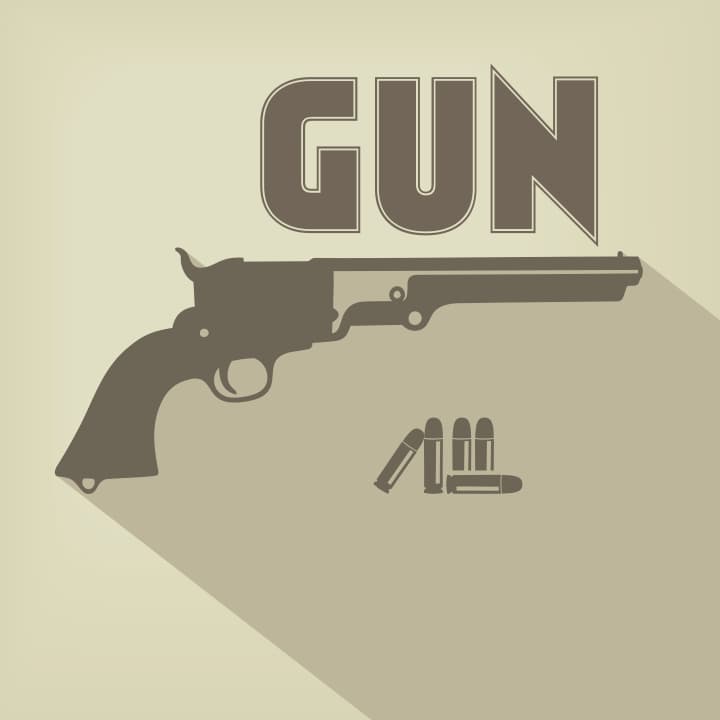 Gun 2