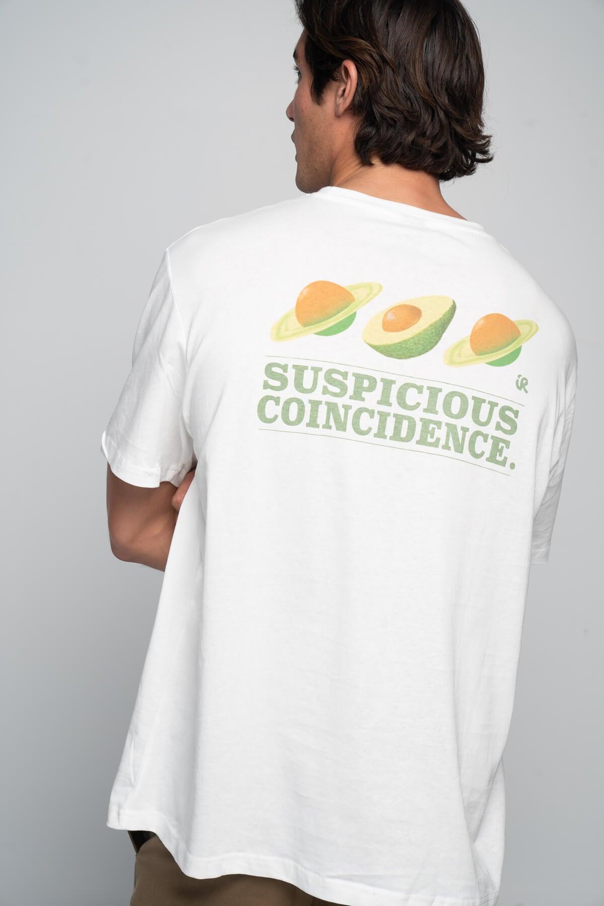 Inner Relm Suspicious Coincidence Hemp Tee back