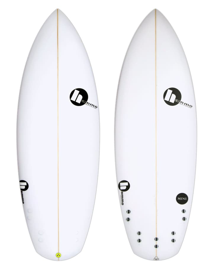 Mini 1