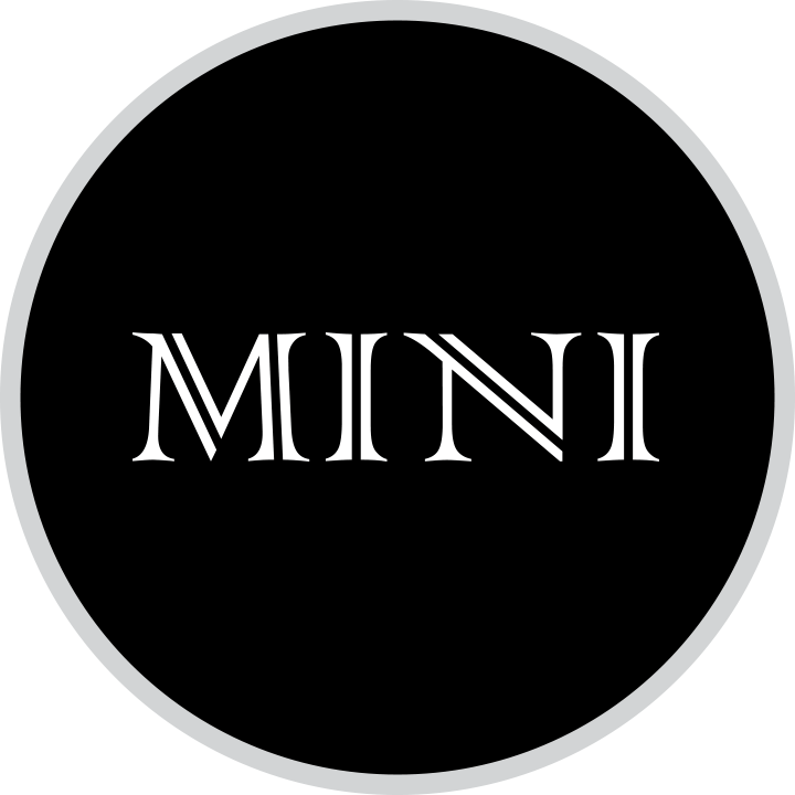 Mini 2