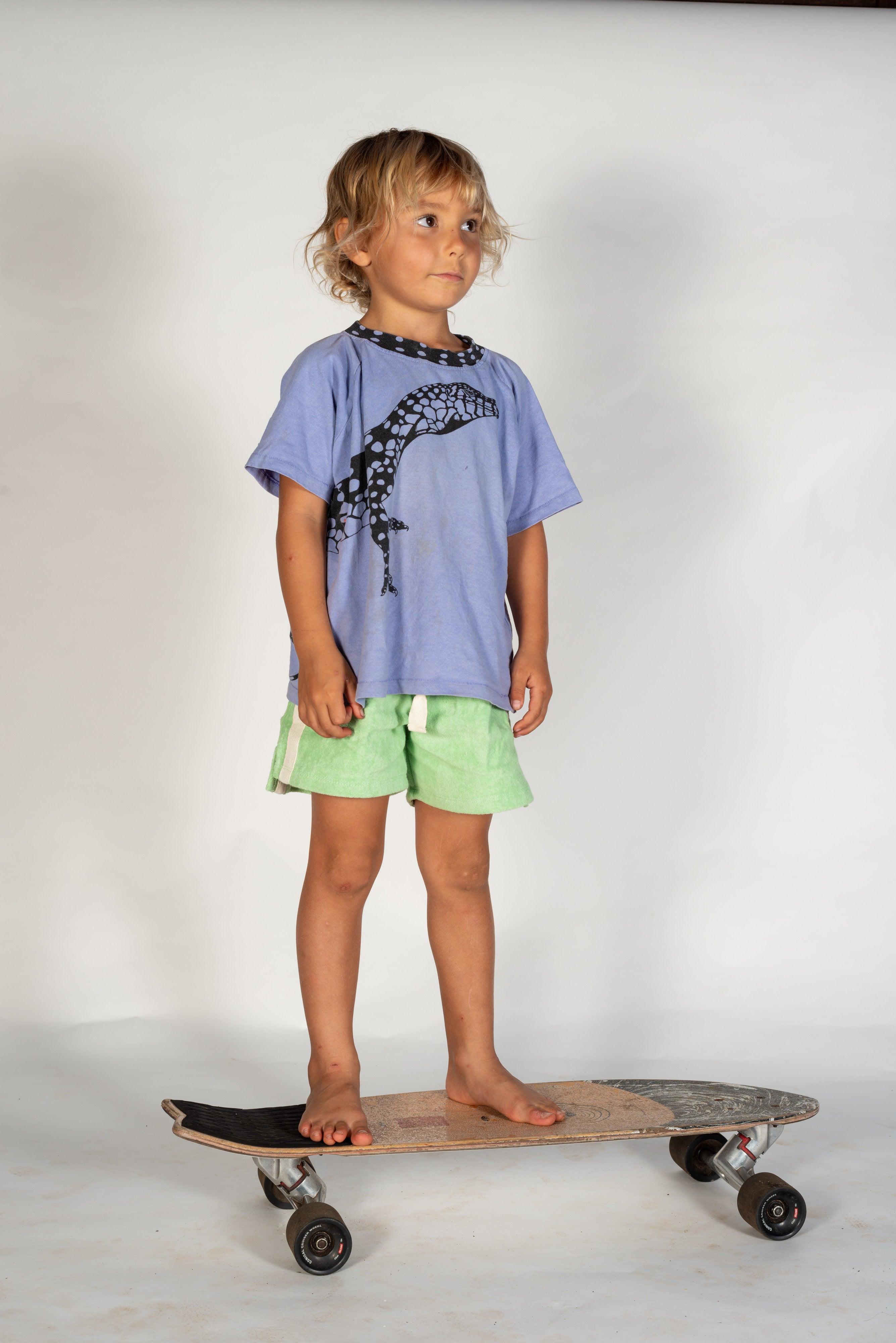 Mint shorts on skateboard standing
