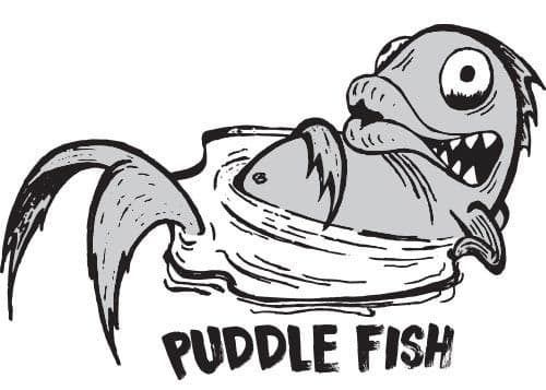 Lost Puddle Fish Logo