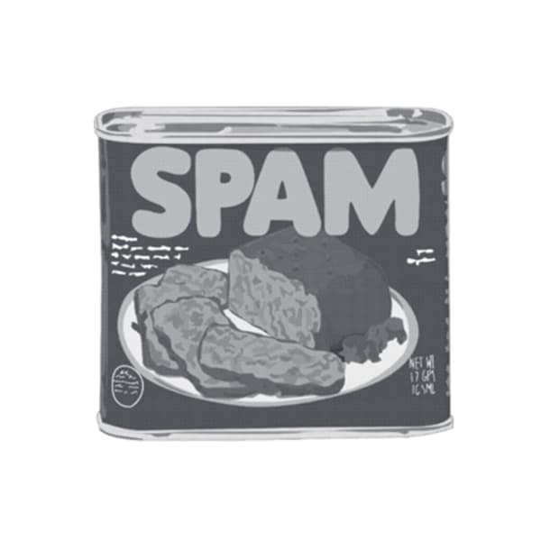 The Spam 2