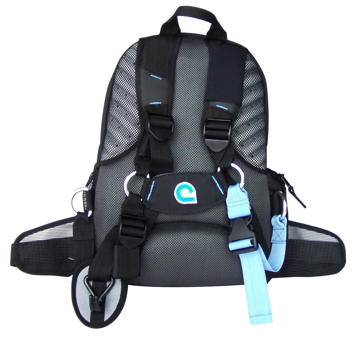 Curve Fatboy Backpack back and straps