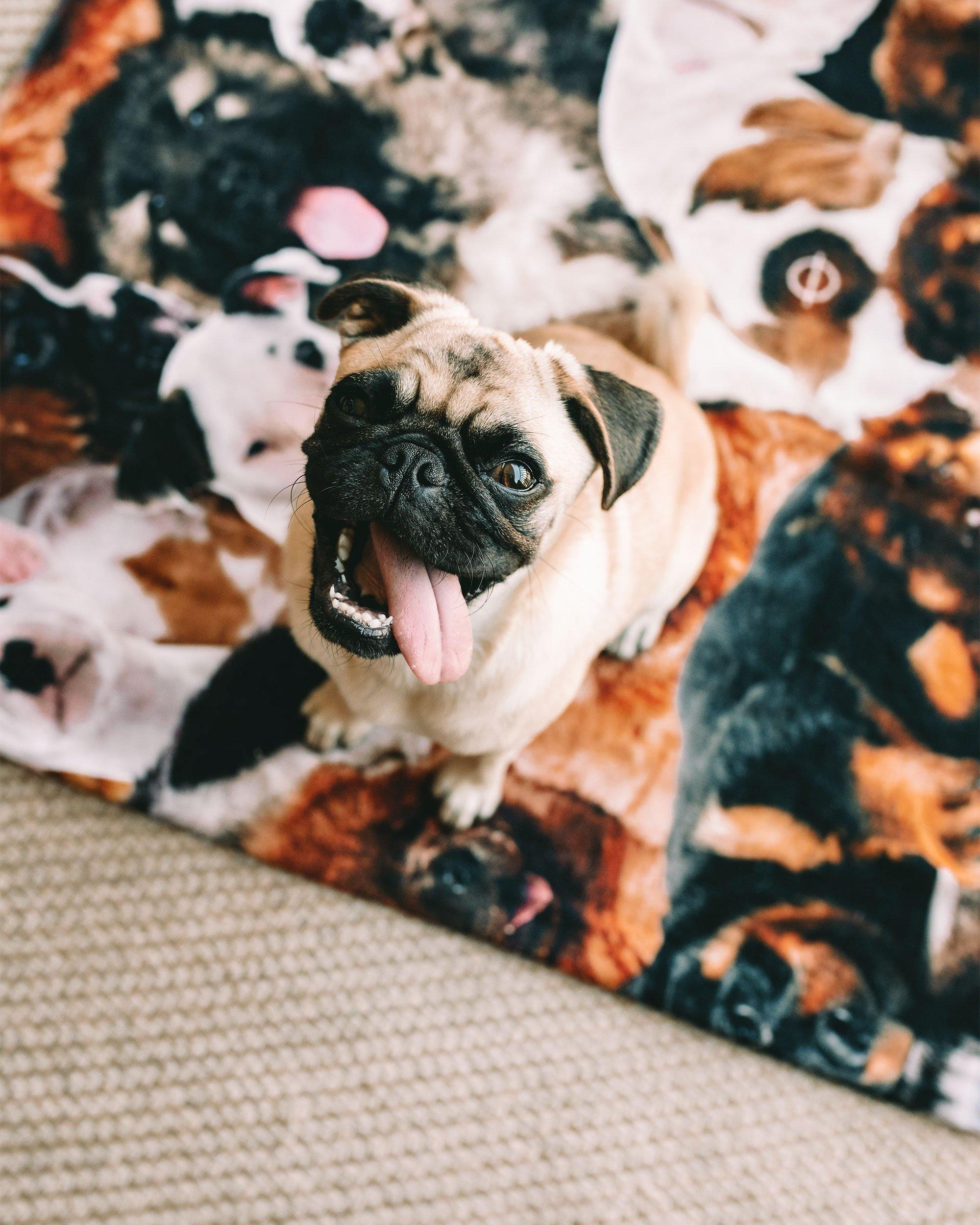 LEUS Puppy Party Beach Towel close up