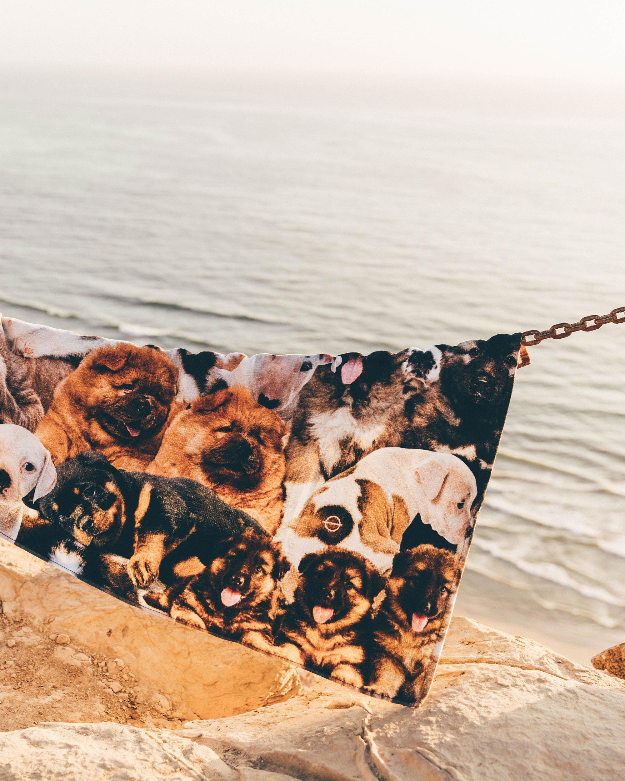 LEUS Puppy Party Beach Towel hanging