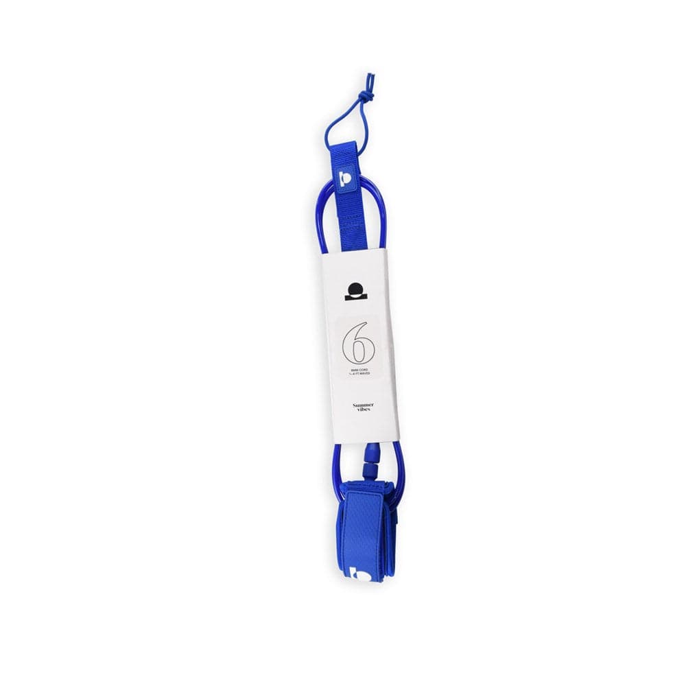 Full view of blue leash