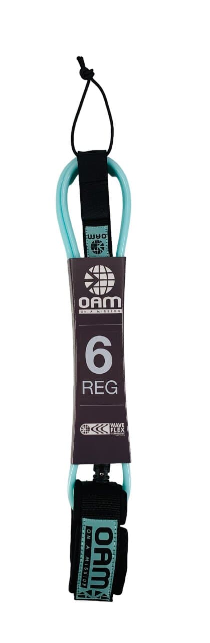 6' Regular Leash