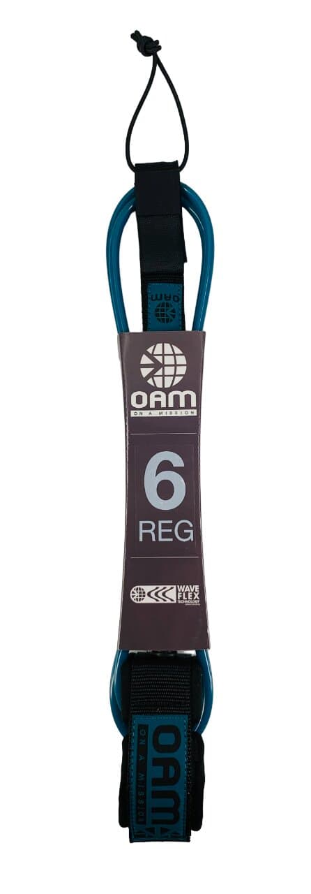 6' Regular Leash