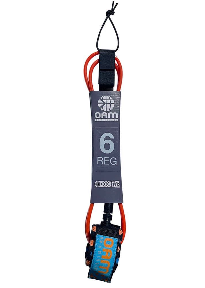 6' Regular Leash