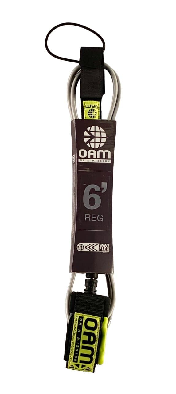 6' Regular Leash