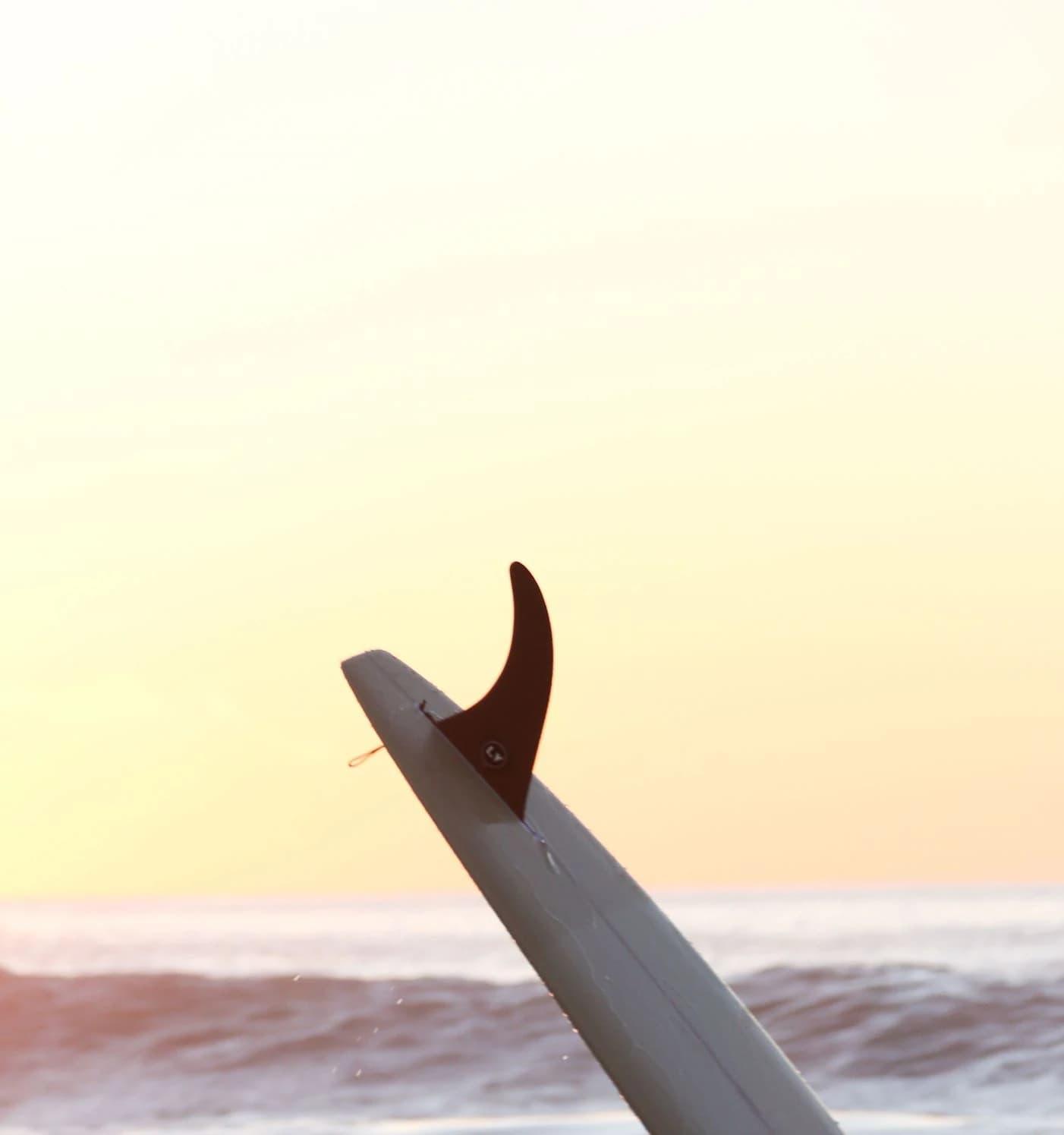 LVfins LB Classic Raked Single Fin - Tannin on longboard surfboard