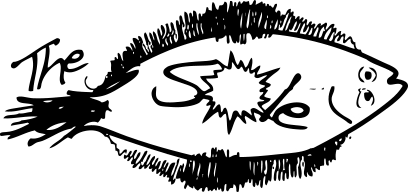 Buy the Sharp Eye Sole Surfboard Online Now | Boardcave