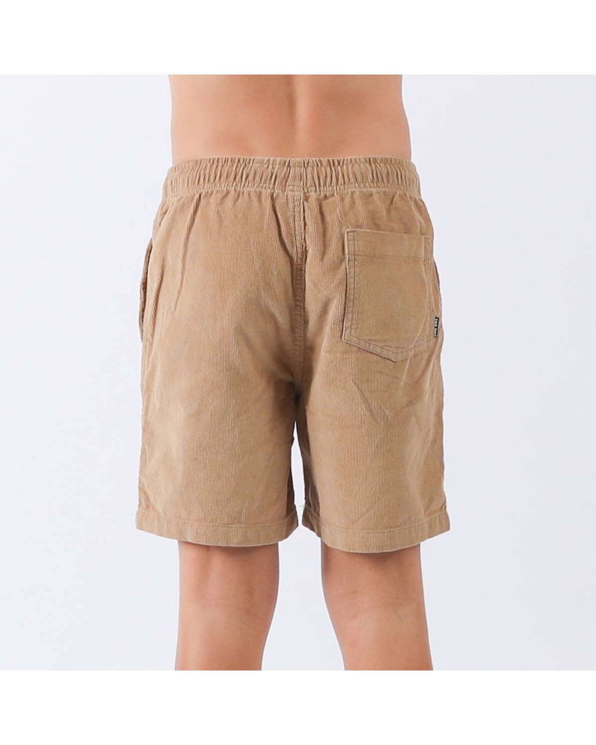 Back view of shorts