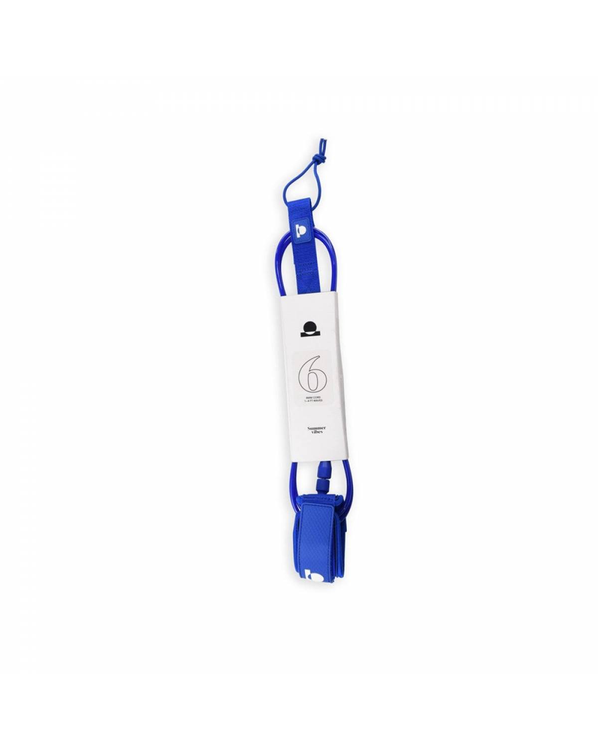Full view of blue leash