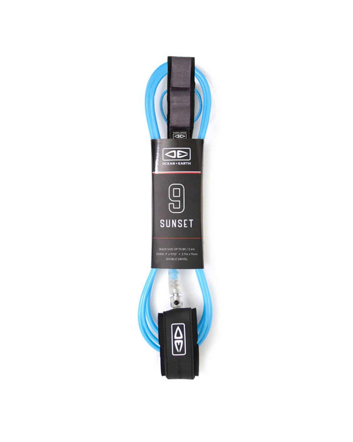 Blue leash close-up