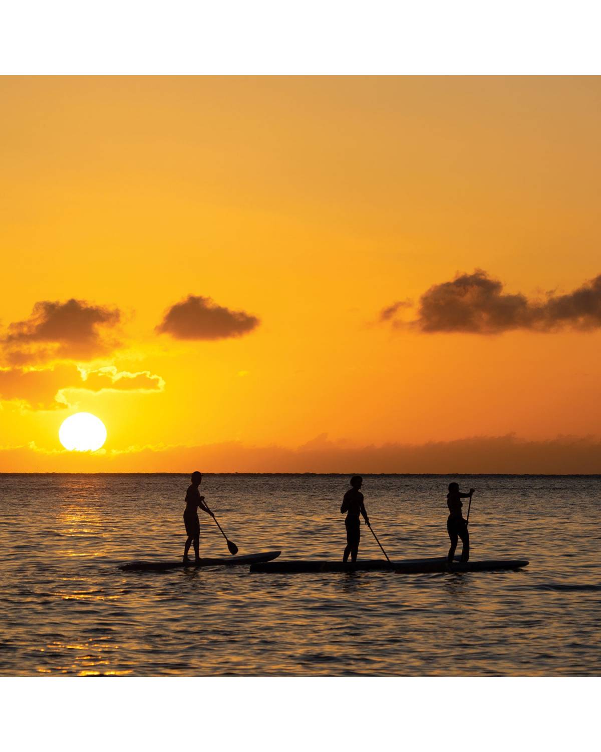 Diamond Flex SUP Regular - 9ft - Black (