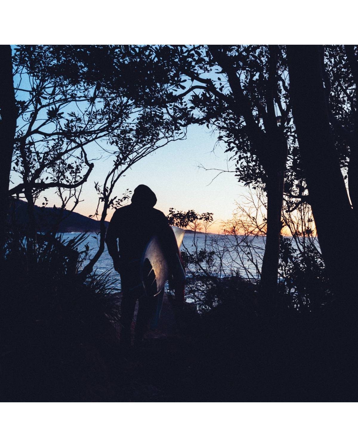 Ocean and Earth Elements Jacket