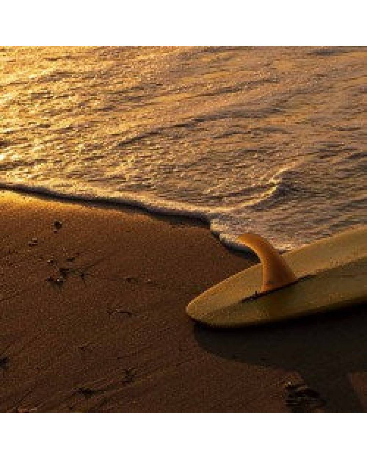 Bravosurf | DEFLOW SINGLE FIN MINI CREAM 7,5"  | Grey