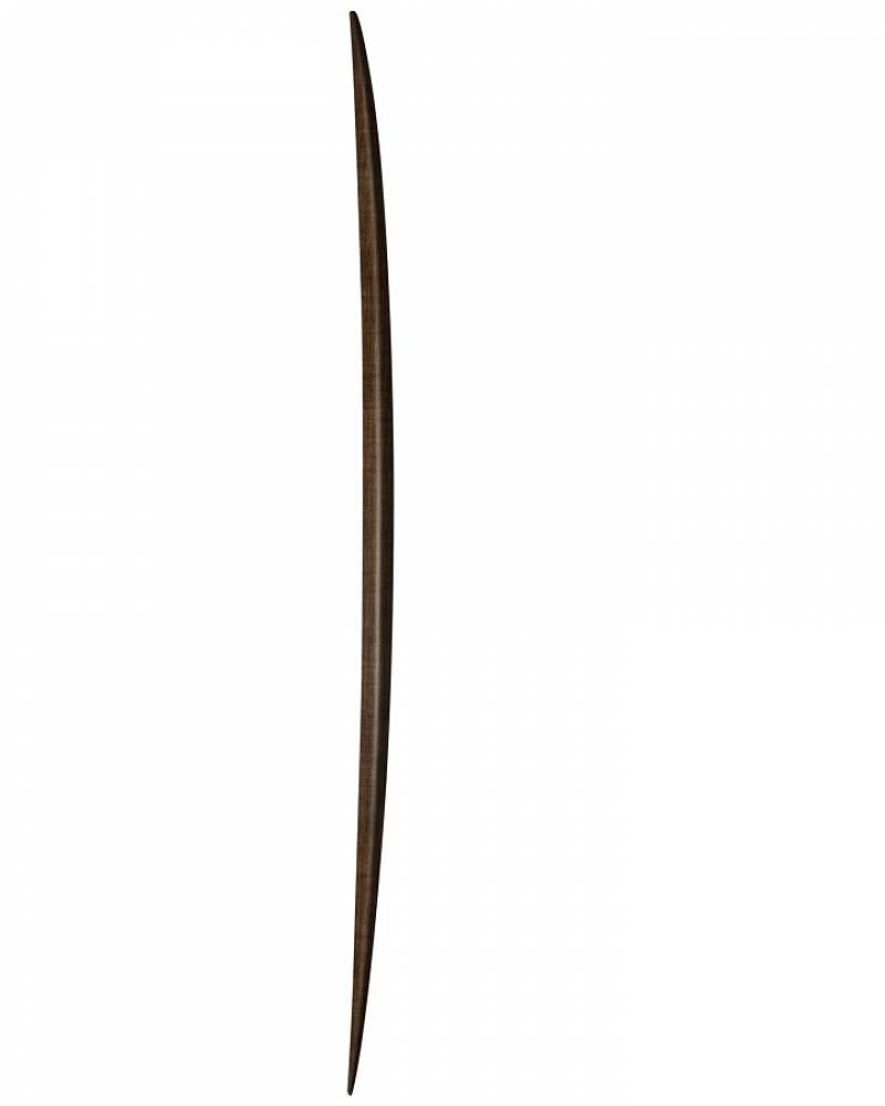 Modern Noseride