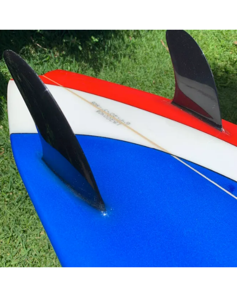 Bertlemann's Twin Fin Tail
