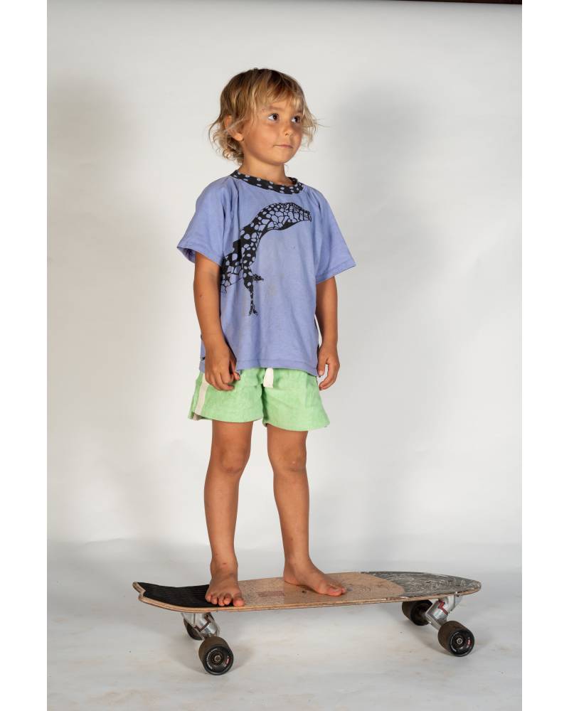 Mint shorts on skateboard standing